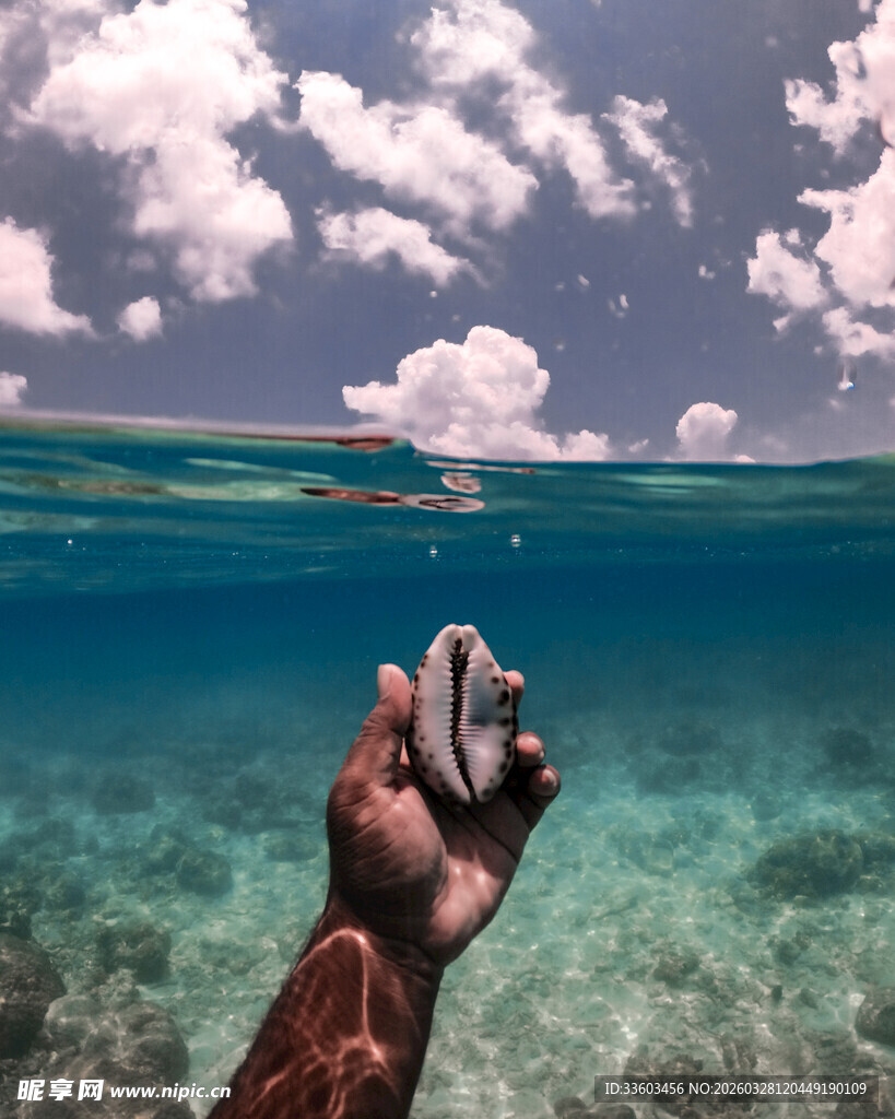 水下手持相机的精彩瞬间