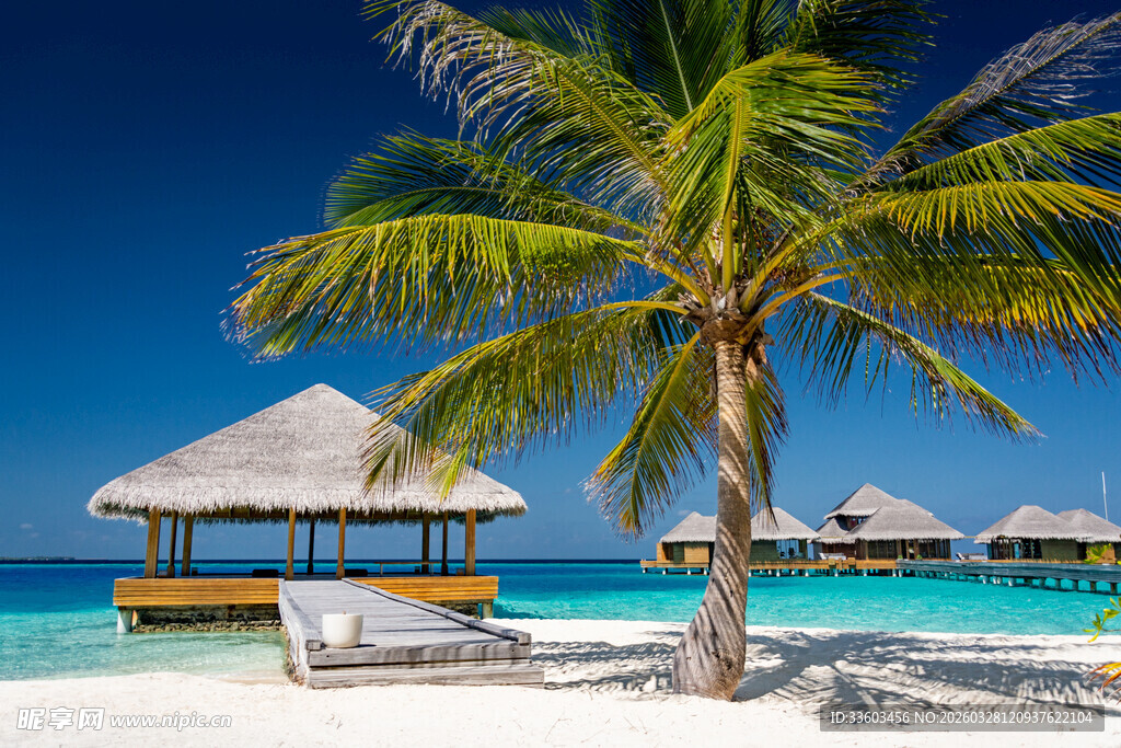 热带海滨度假风光