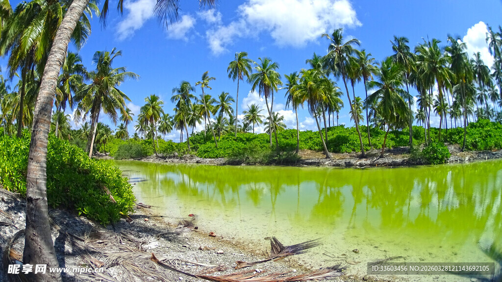 热带风光下的翠绿湖泊