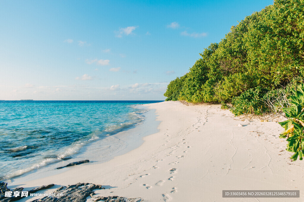 美丽的热带海滩风光