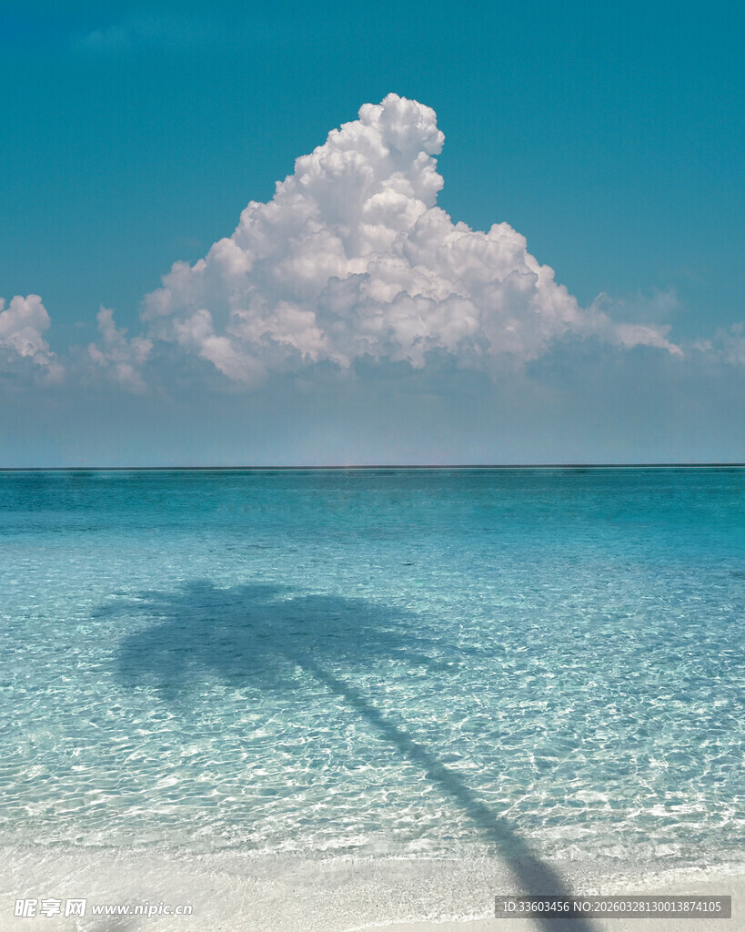 梦幻海滩上的椰树投影