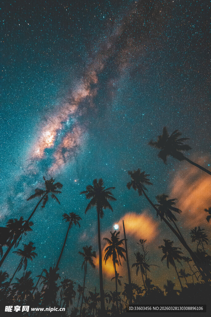 星空下的棕榈树夜景