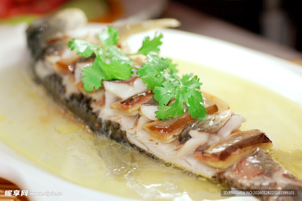 清蒸鱼配香菜点缀