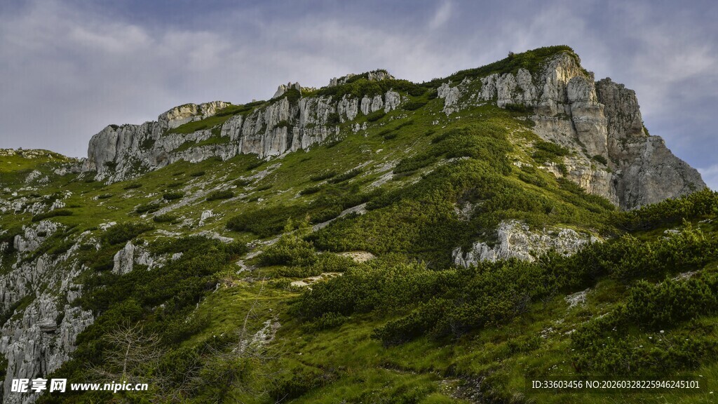 巍峨青山绿意盎然