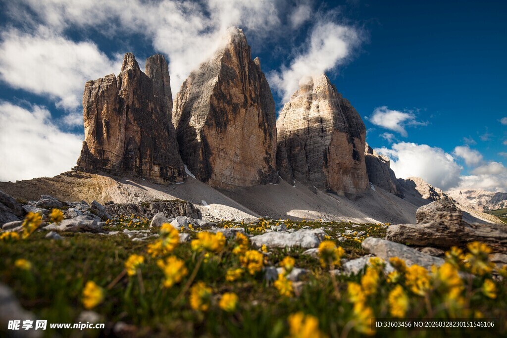 山间花海中的壮丽岩石景观