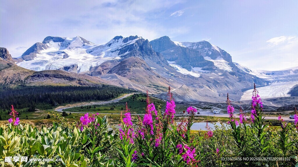 山间花海与壮丽雪山美景