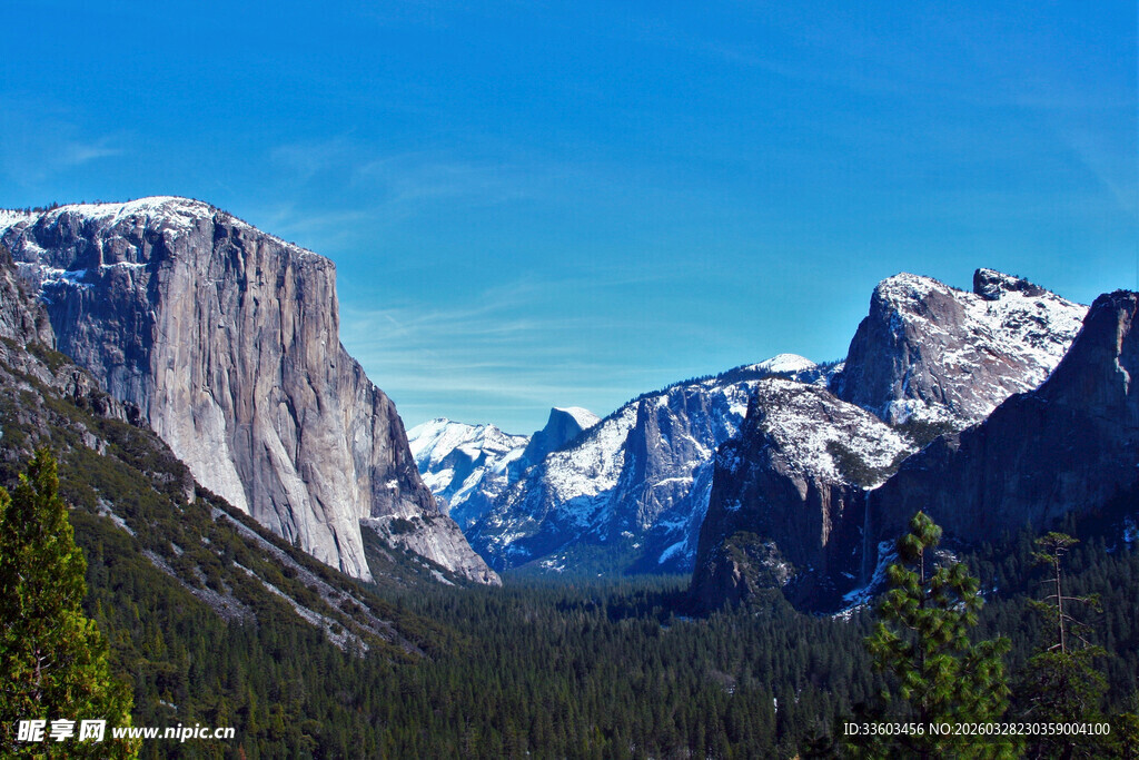 壮丽雪山森林景观