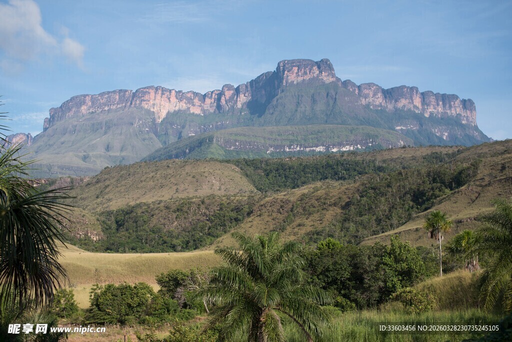 壮丽山峦与绿植景观