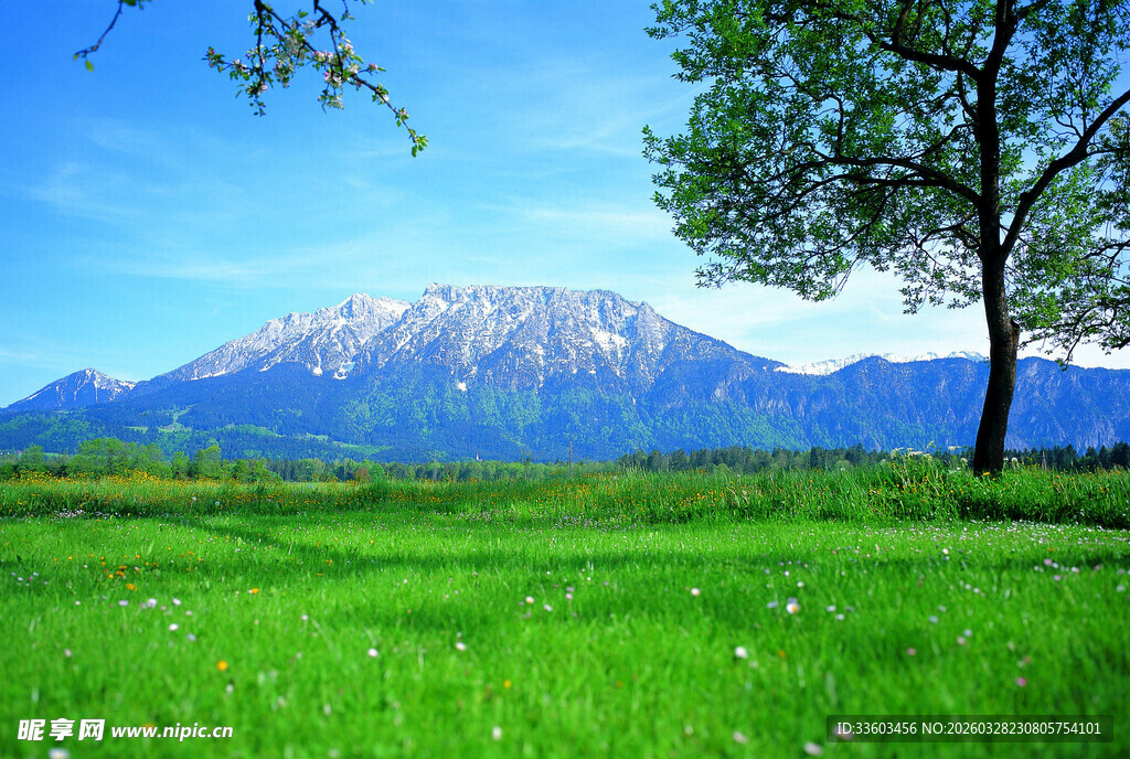 草原青山美景图