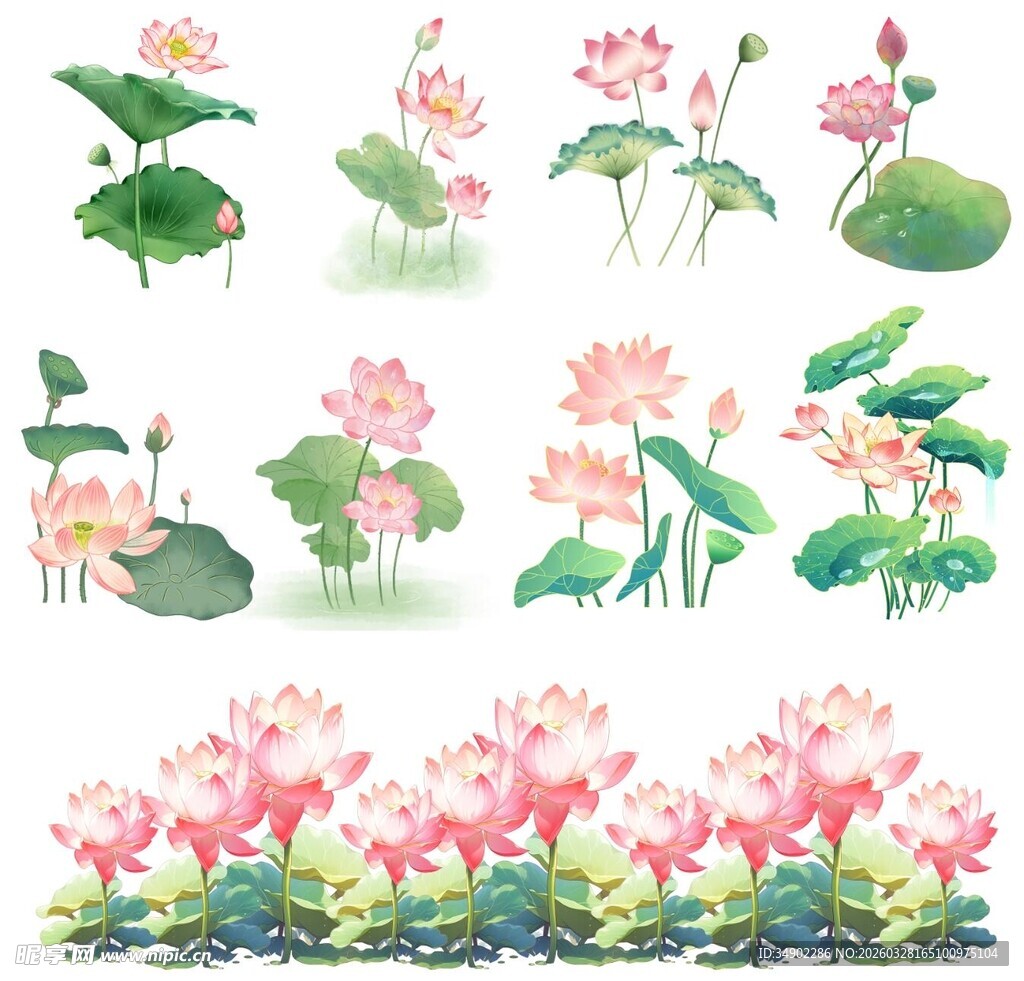 免扣水彩荷花