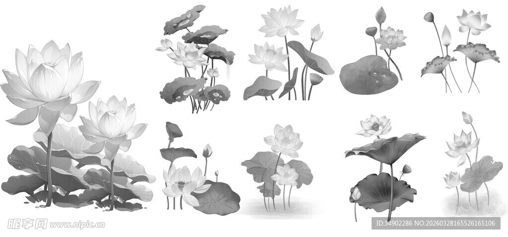 水墨风荷花荷叶插画素材