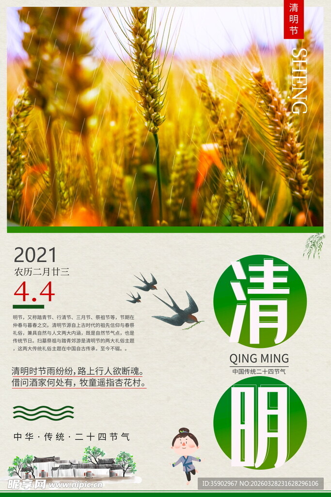 清明时节麦田风光