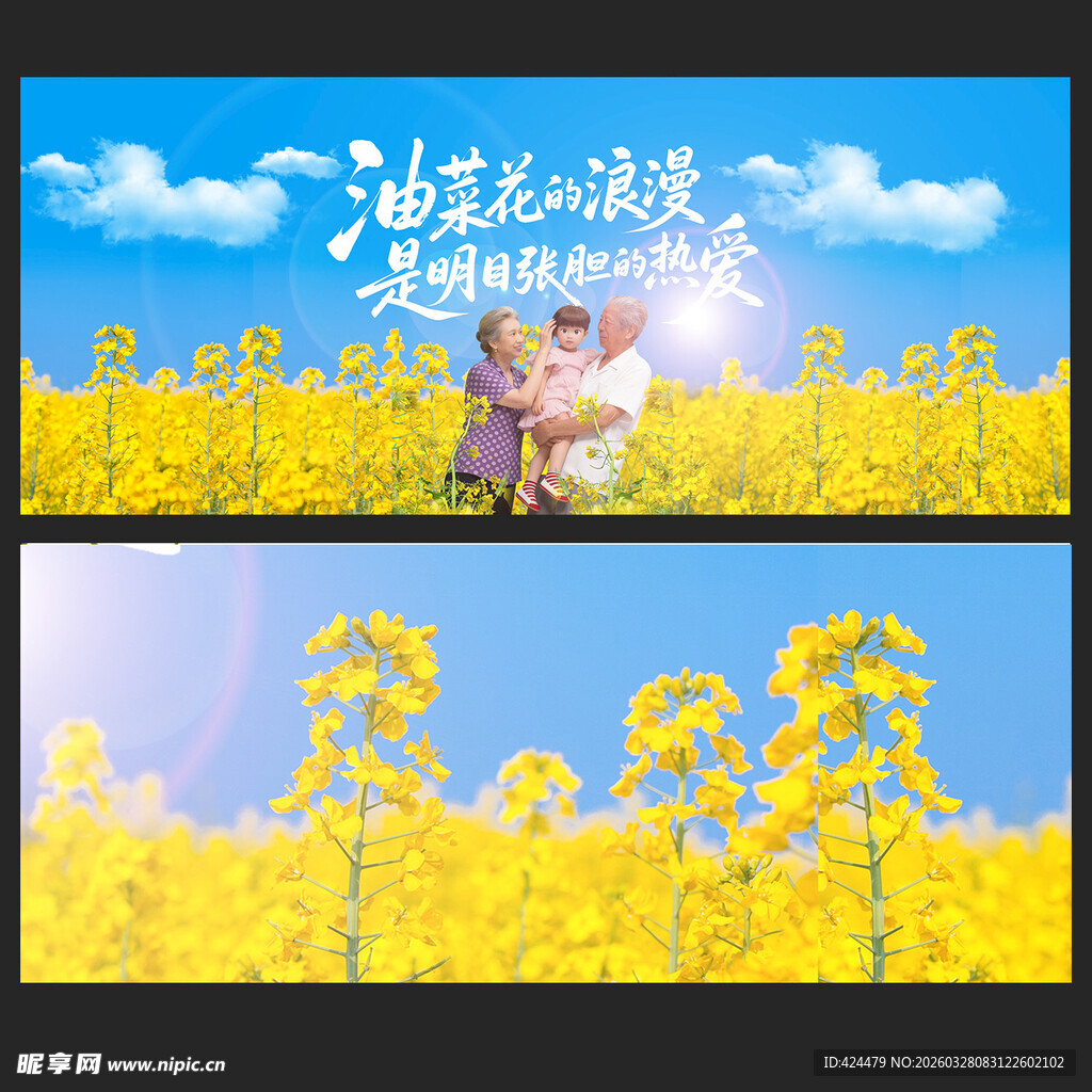 浪漫油菜花展板