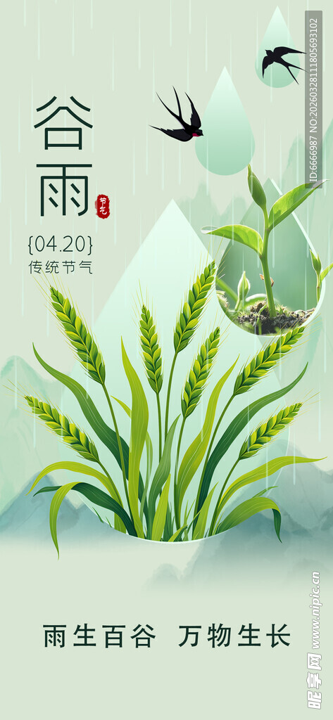 谷雨