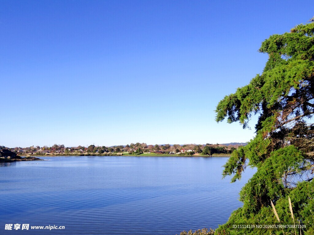 海滨绿树蓝天美丽景致