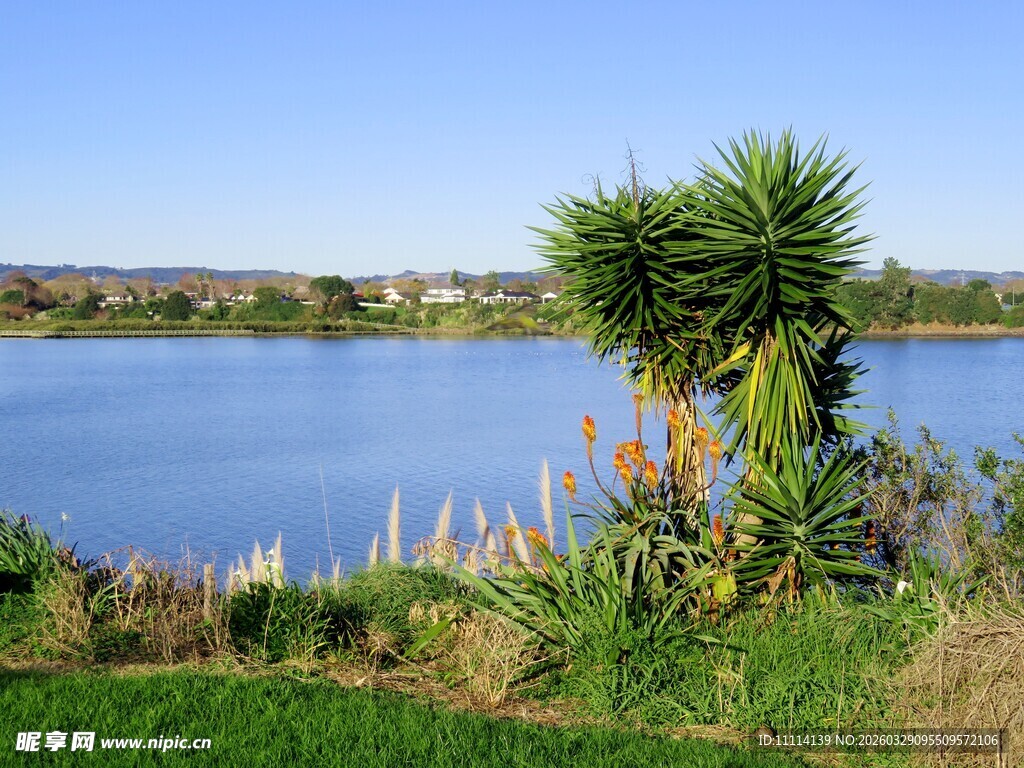 海滨绿植环绕的美丽风光