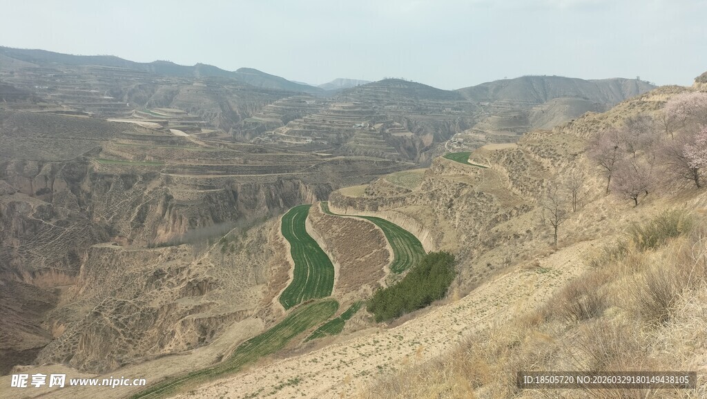 蜿蜒山路穿行于黄土丘陵