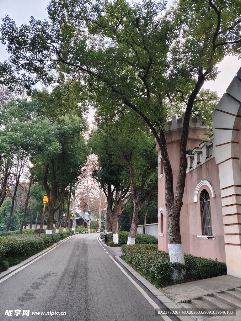 林荫街道欧式建筑