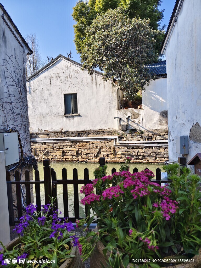 苏州河边景致  繁花相伴