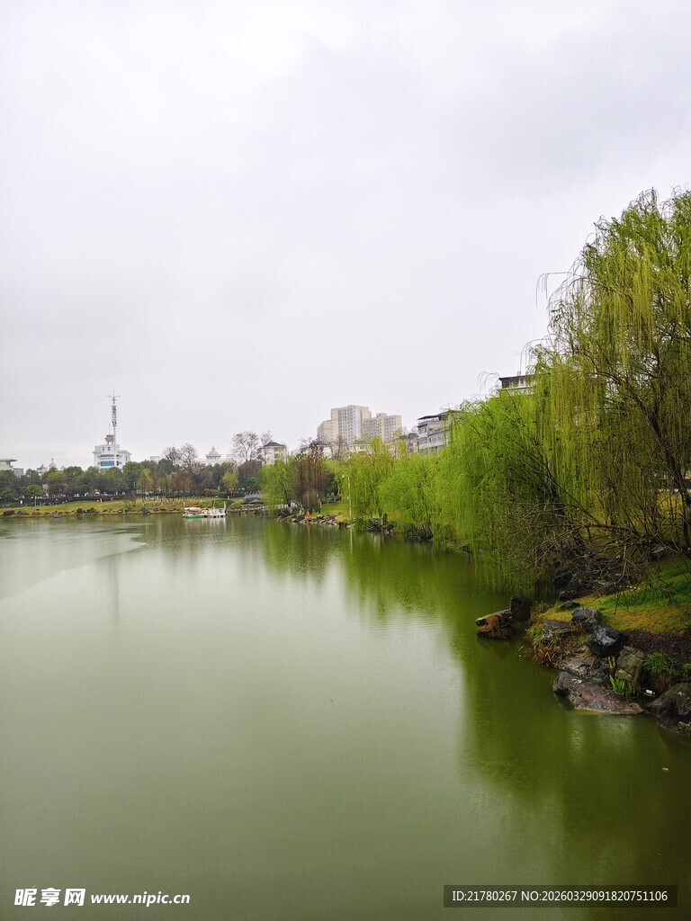 湖畔春色 垂柳碧水相映