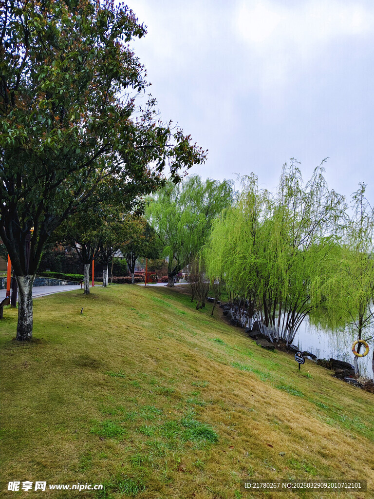 湖畔草地绿树