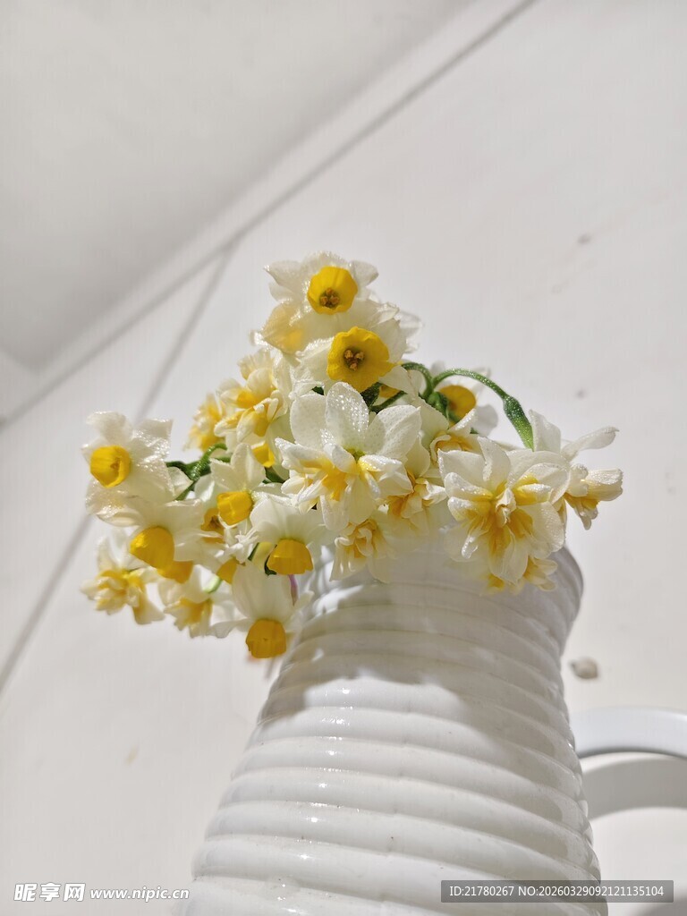 白色花瓶中的清新小花