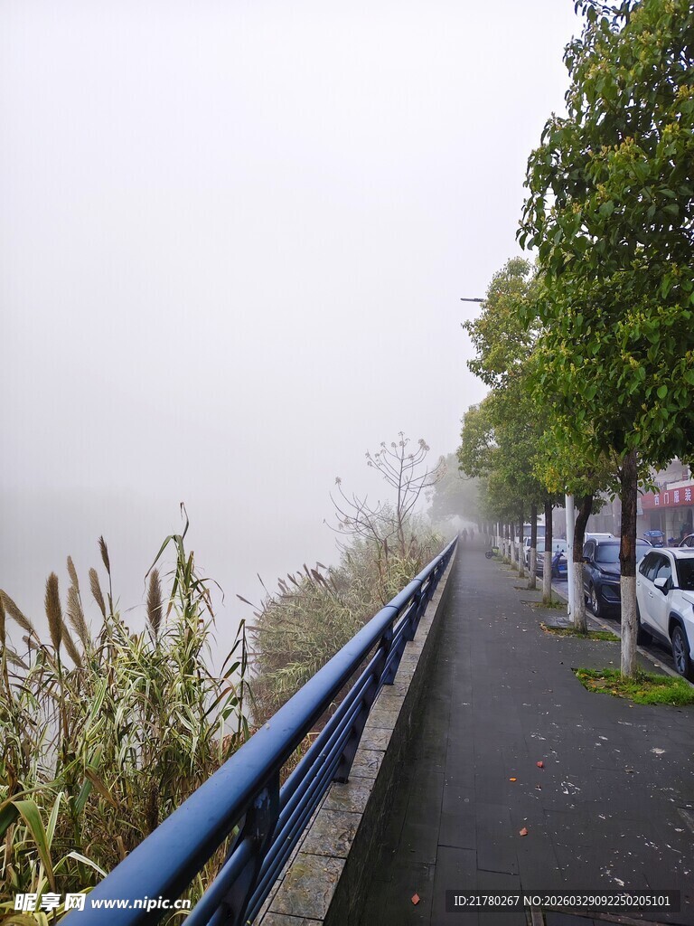 雾中静谧的道路与绿植