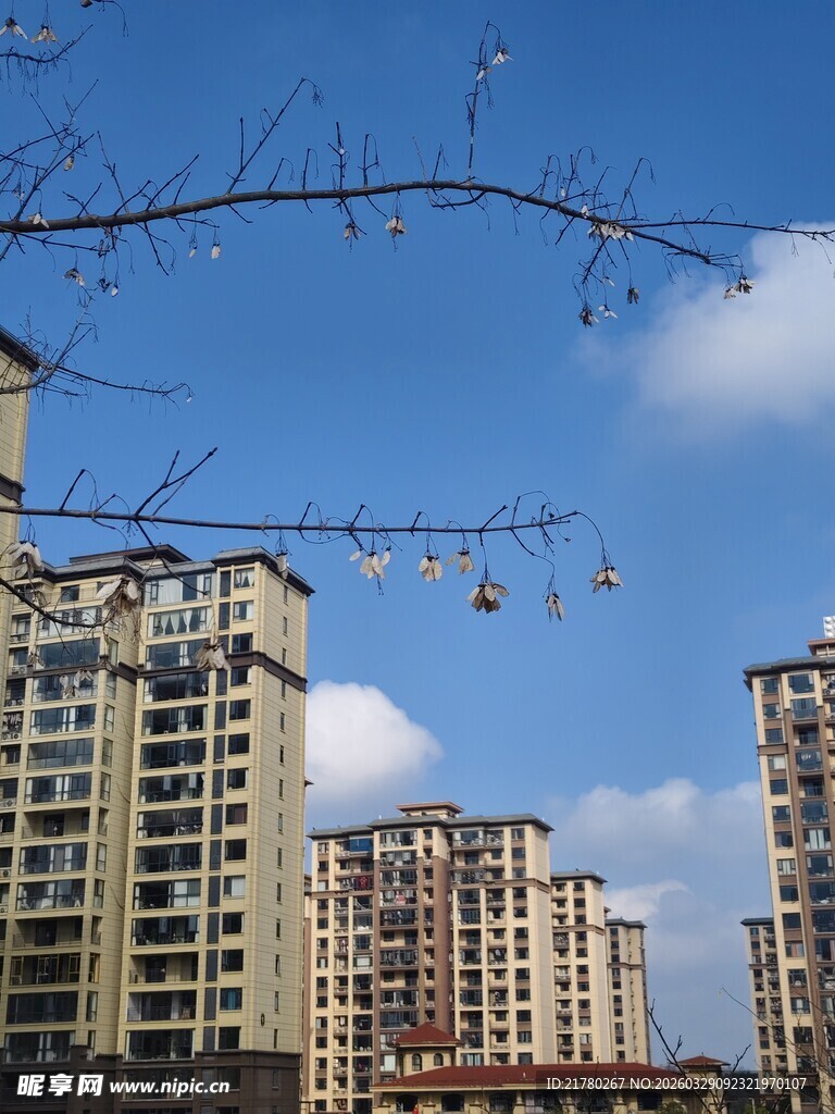 蓝天映衬下的城市住宅楼