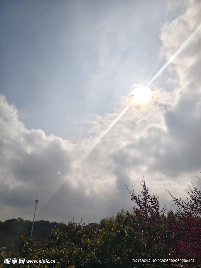 阳光穿透云层下的树林