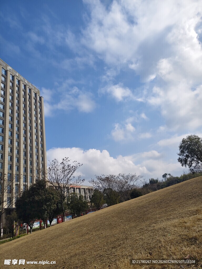 高楼旁的开阔草地与蓝天