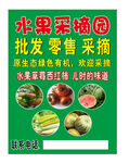 水果采摘园批发零售采摘