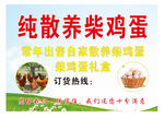纯散养柴鸡蛋常年出售