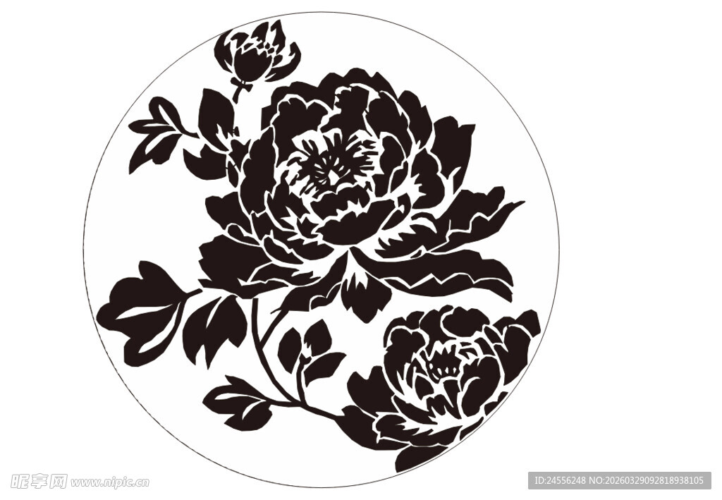黑白牡丹花