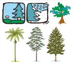 多样树木插画展示