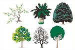 多样树木矢量插画素材