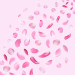 粉色浪漫飘落花瓣背景图