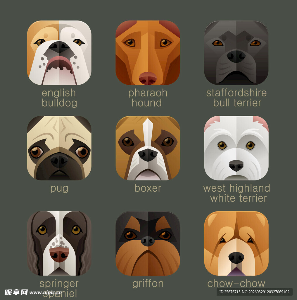 多款可爱狗狗3D头像集合