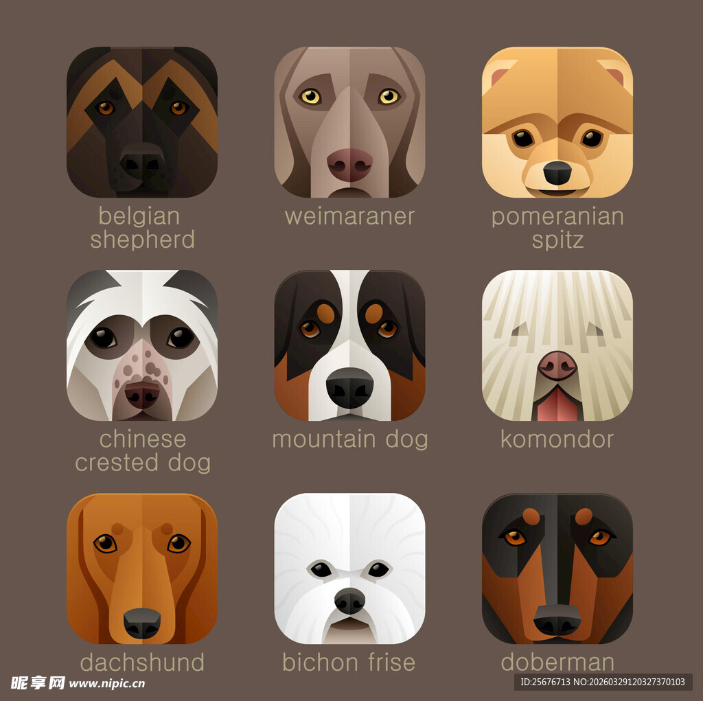 多样萌犬头像集合