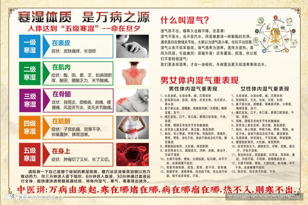 寒湿体质  四季养生