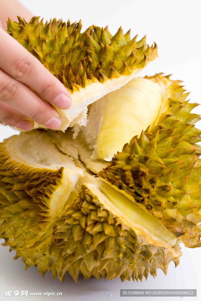 剥开的香甜榴莲果肉