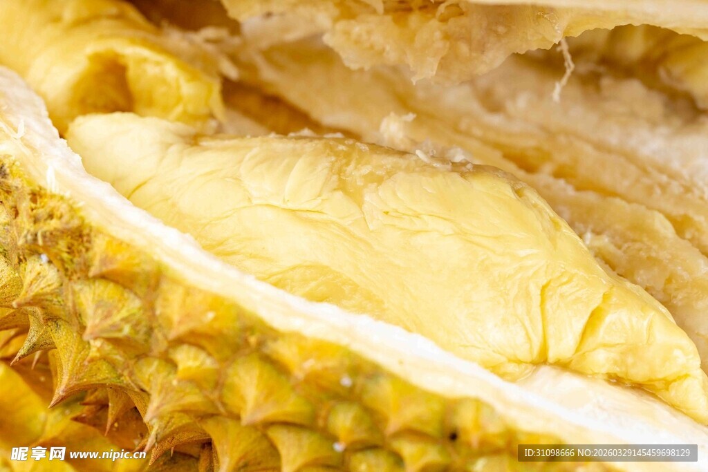 剥开的香甜榴莲果肉