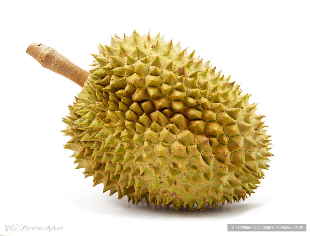 单个新鲜榴莲特写