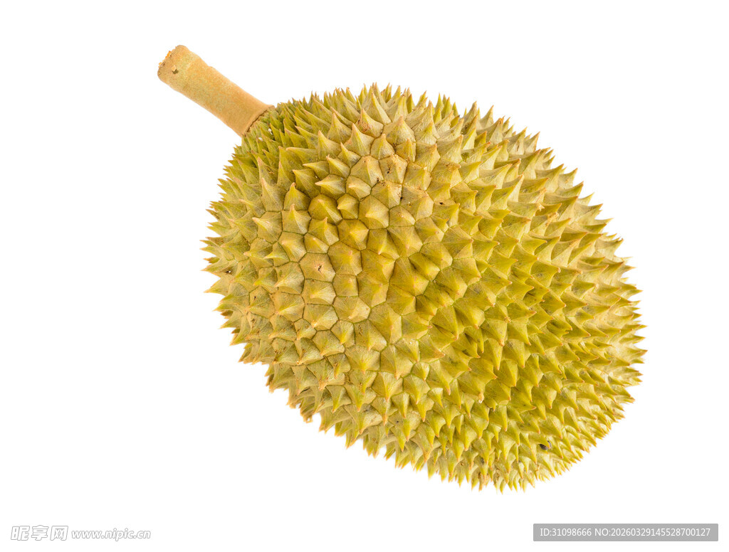 金黄饱满的新鲜榴莲