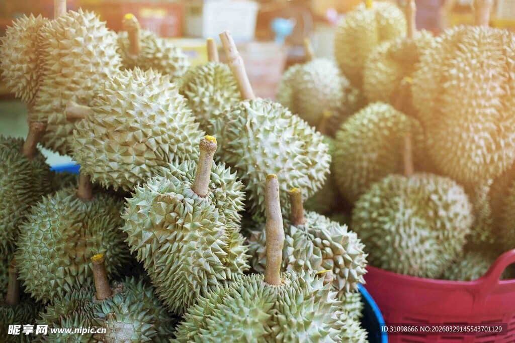 新鲜榴莲堆放在市场中