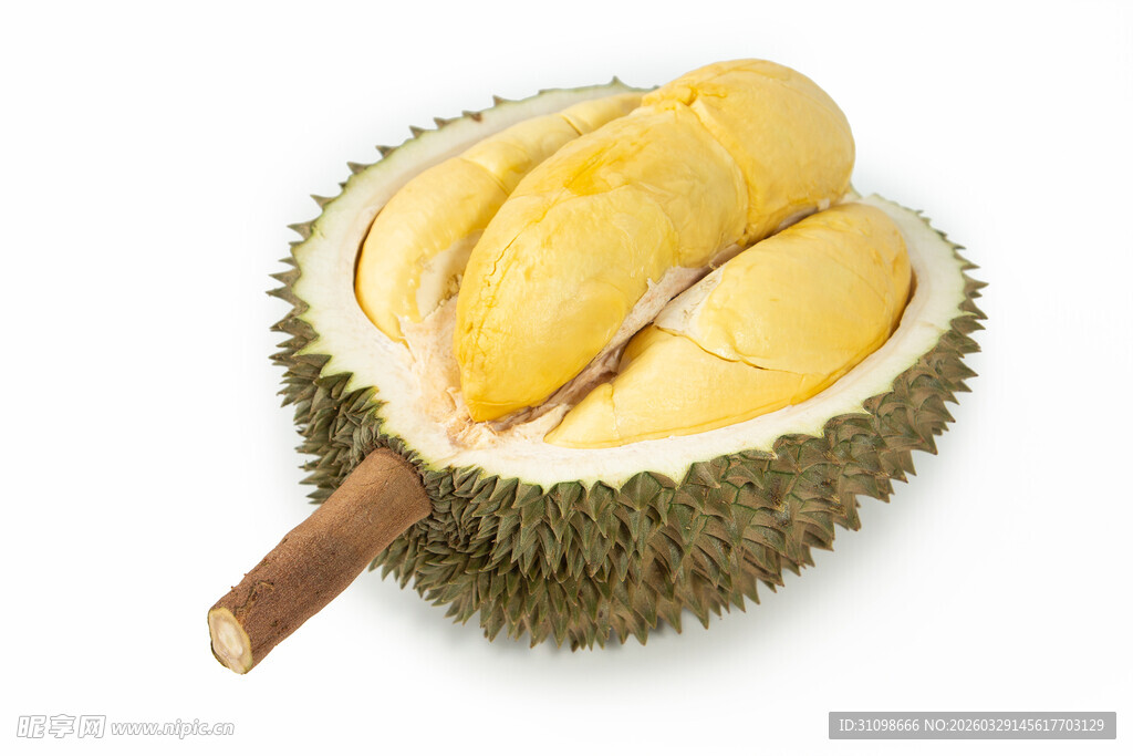 剥开的香甜榴莲果肉