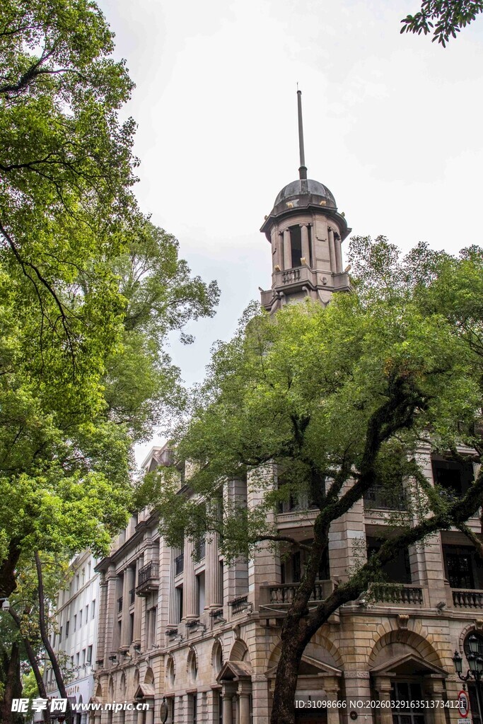 欧式建筑旁的葱郁绿树