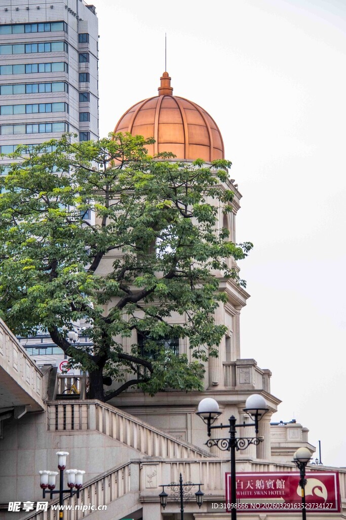 城市中古典建筑与绿树相映