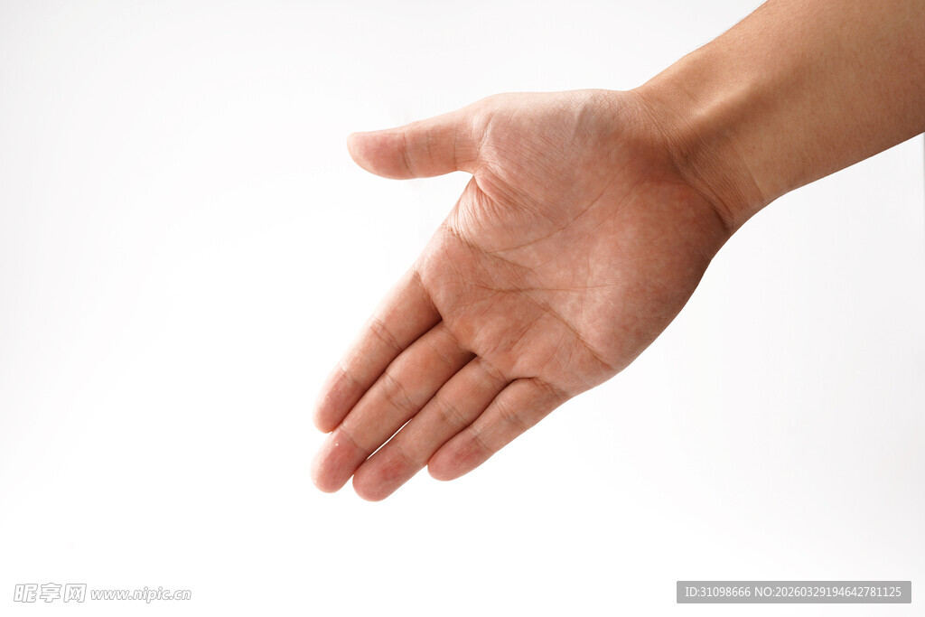 伸出的手掌
