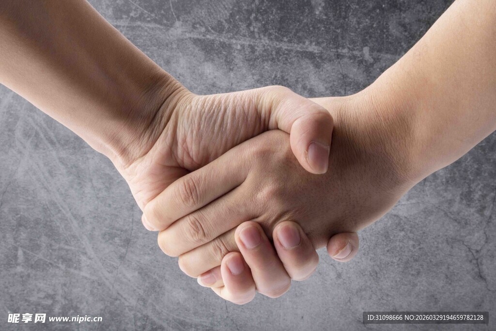 两人握手展现合作精神