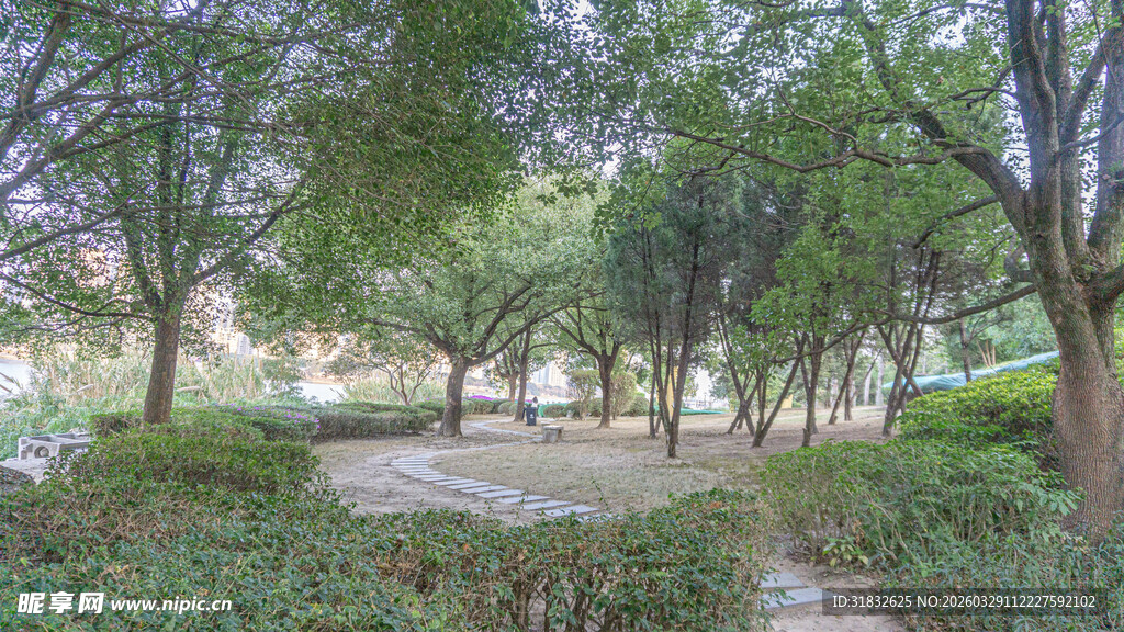 城市中的静谧林间小道